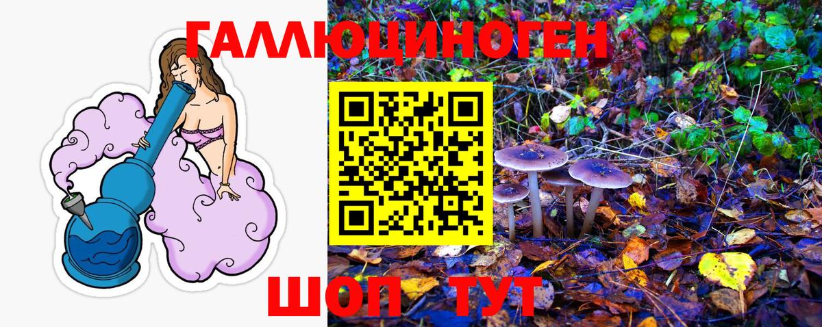 Галлюциногенные грибы мухоморы Отрадный